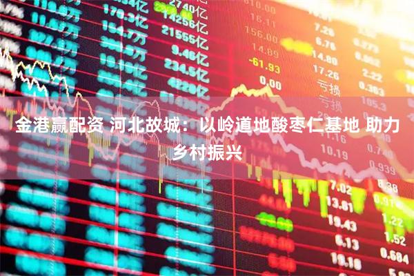 金港赢配资 河北故城：以岭道地酸枣仁基地 助力乡村振兴